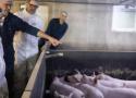 Dans le Finistère, l’IA contribue à améliorer le bien-être des animaux d’élevage - Le Parisien