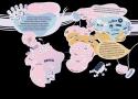 Cartografias da Internet | Mapa dos Territórios da Internet